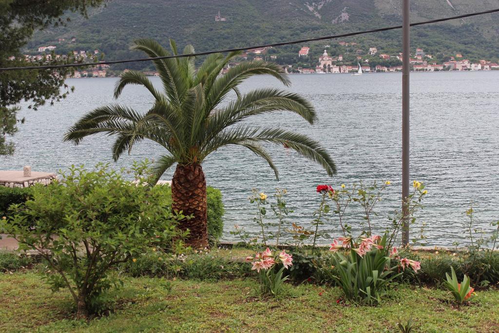 Apartments Miramar Kotor Buitenkant foto